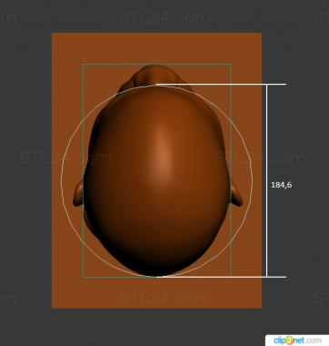 Anatomy of skeletons and skulls (New version ANTM0280 version1, ANTM_1788) 3D models for cnc