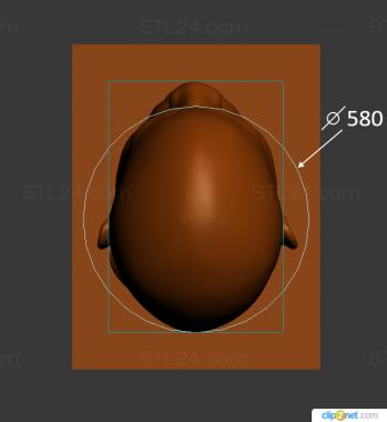 Anatomy of skeletons and skulls (New version ANTM0280 version1, ANTM_1788) 3D models for cnc