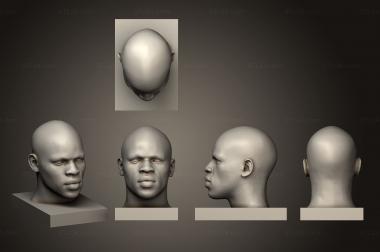 Anatomy of skeletons and skulls (New version of ANTM0280, ANTM_1790) 3D models for cnc