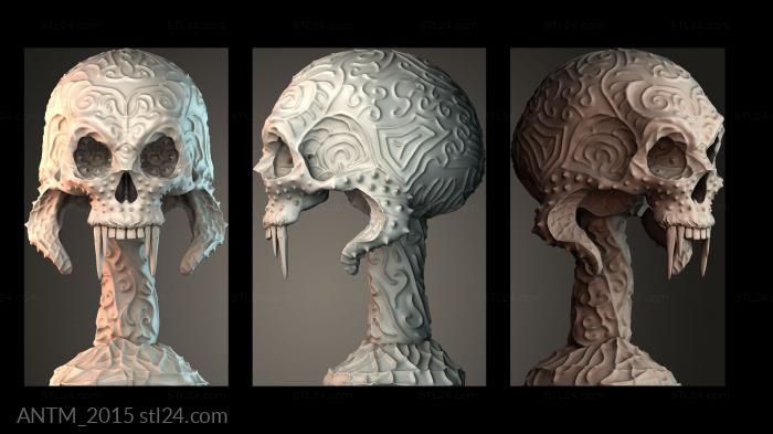 Anatomy of skeletons and skulls (ANTM_2015) 3D models for cnc