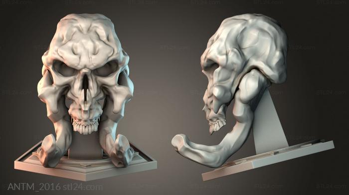 Anatomy of skeletons and skulls (ANTM_2016) 3D models for cnc
