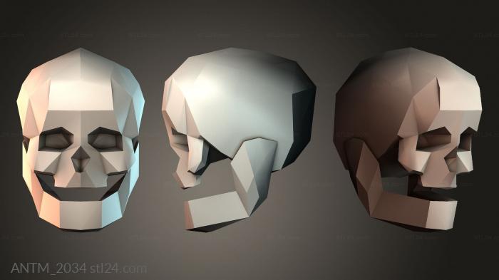 Anatomy of skeletons and skulls (ANTM_2034) 3D models for cnc