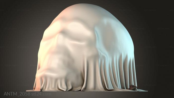 Anatomy of skeletons and skulls (ANTM_2058) 3D models for cnc