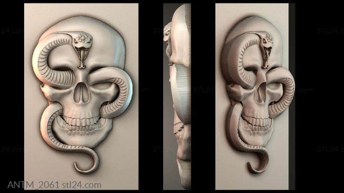 Anatomy of skeletons and skulls (ANTM_2061) 3D models for cnc