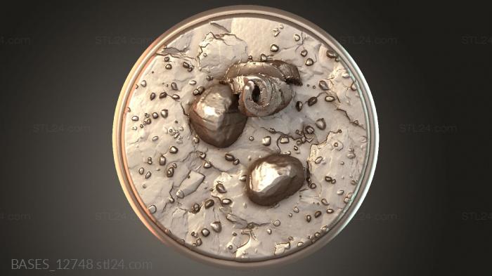 BASES_12748