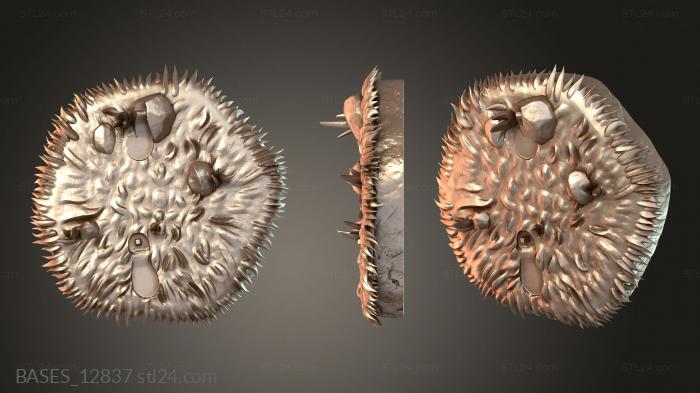 BASES_12837