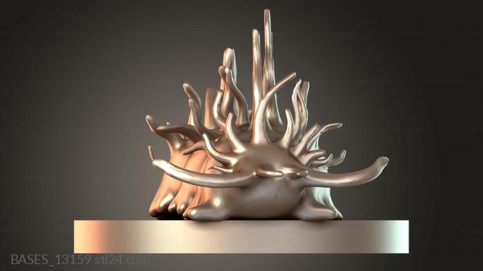 BASES_13159