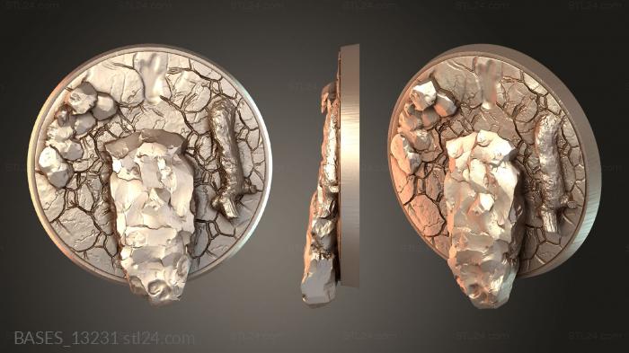 BASES_13231