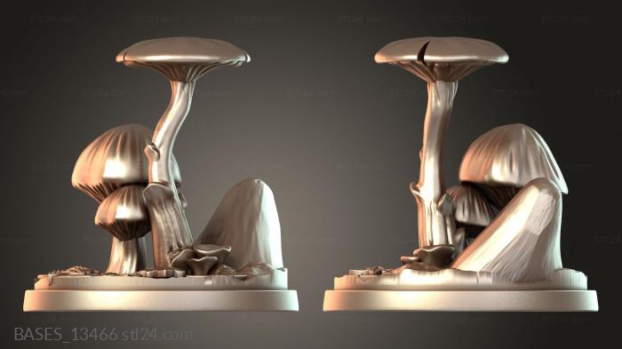 BASES_13466