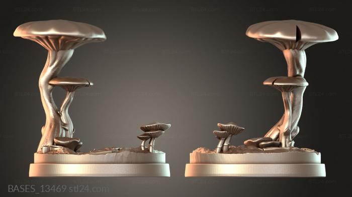 BASES_13469