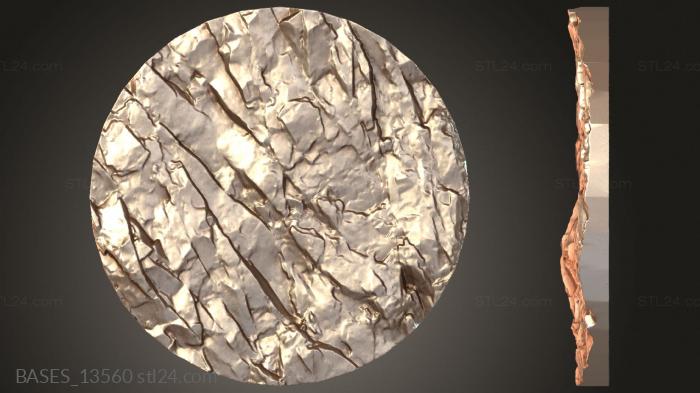BASES_13560