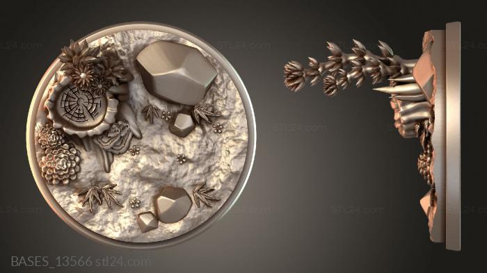 BASES_13566