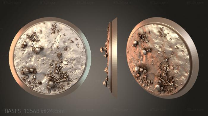 BASES_13568