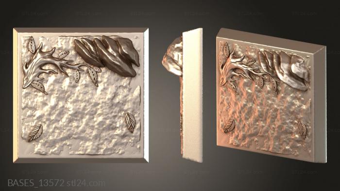 BASES_13572