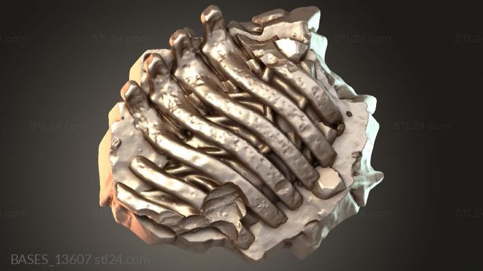 BASES_13607