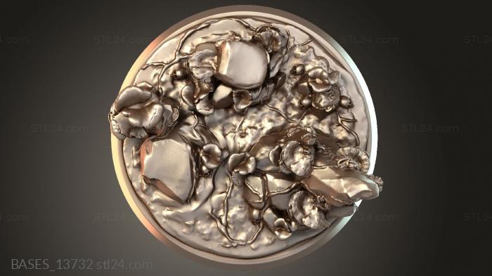 BASES_13732