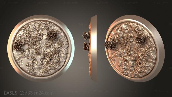 BASES_13733