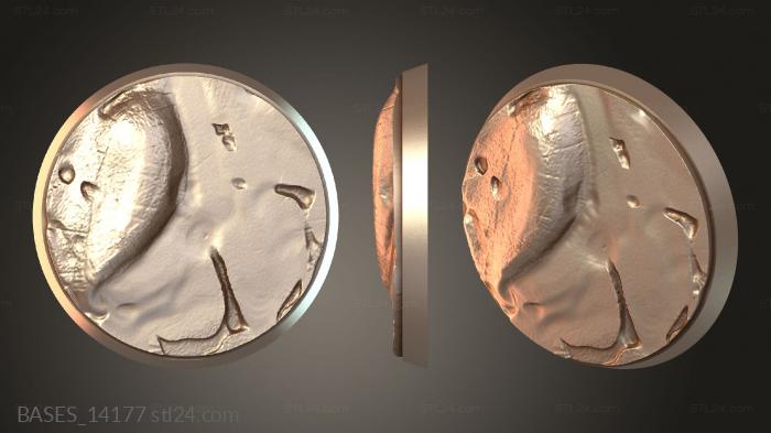BASES_14177