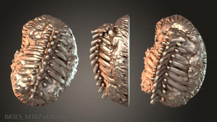 BASES_14187