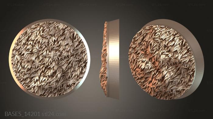 BASES_14201