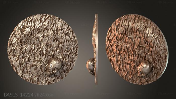 BASES_14224