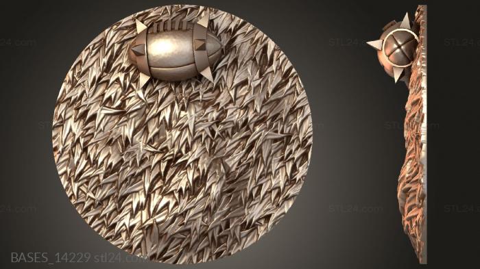 BASES_14229