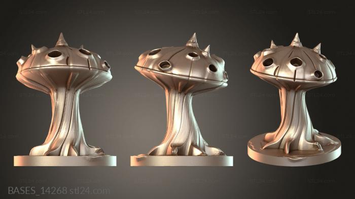 BASES_14268