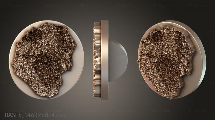 BASES_14639