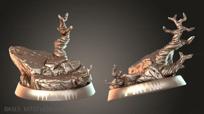 BASES_14737