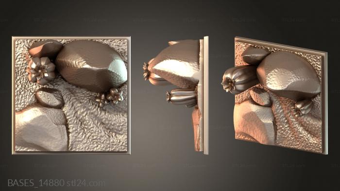 BASES_14880