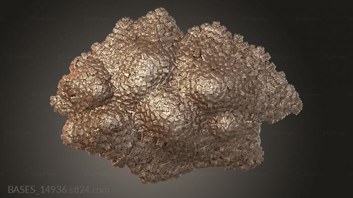 BASES_14936
