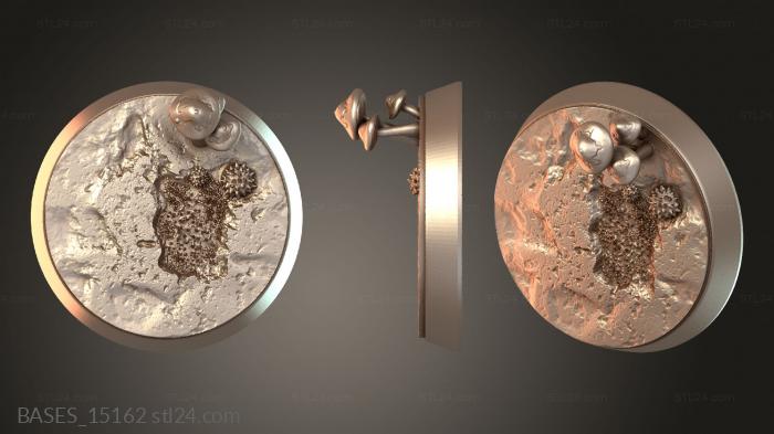 BASES_15162