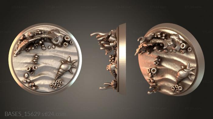 BASES_15629