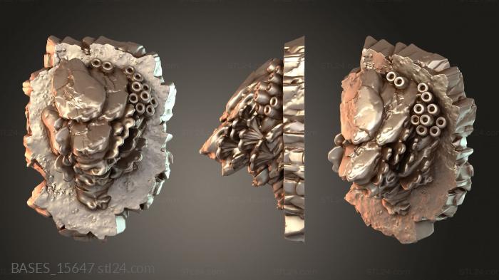 BASES_15647