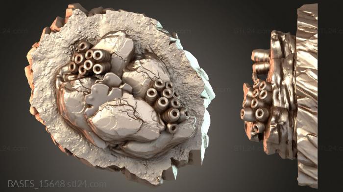BASES_15648