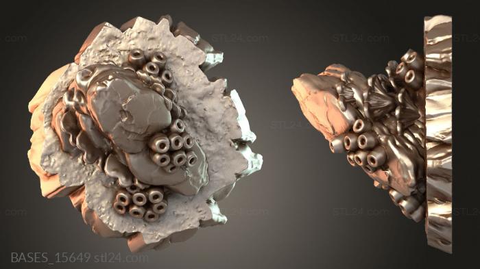 BASES_15649