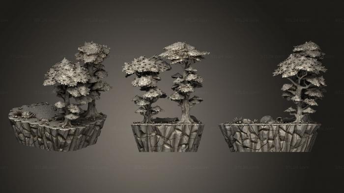 Nature Platforms Set Forest