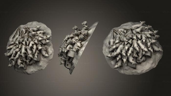 Bases (Ratmen Rat Swarms PS 01, BASES_4127) 3D models for cnc