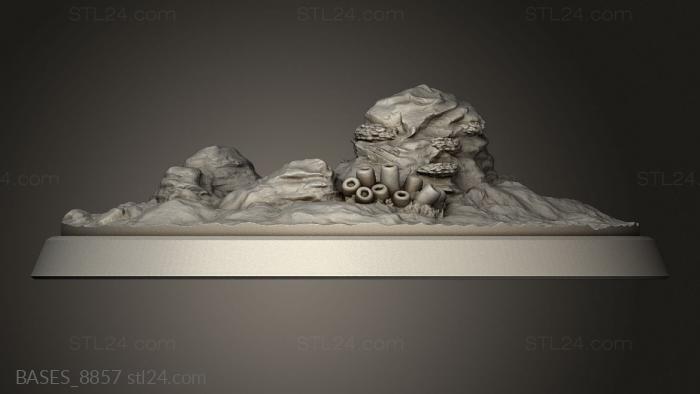 Базы (Мужской Костный Мозг, BASES_8857) 3D модель для ЧПУ станка