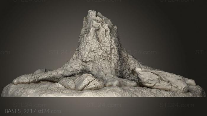 stump with rocks