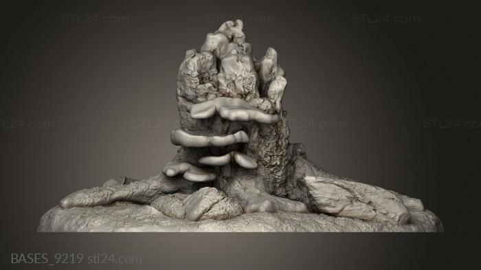 stump with rocks and mushrooms