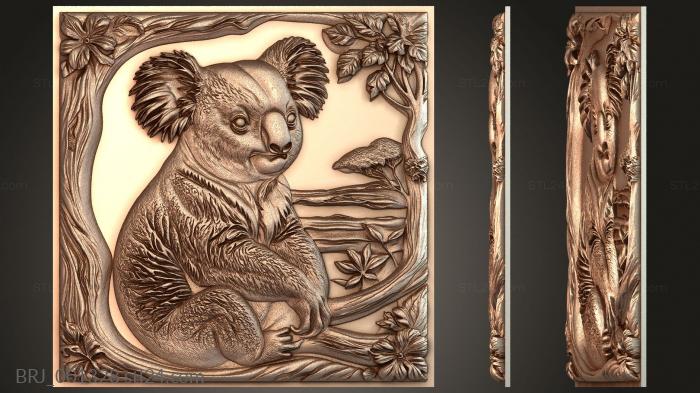 Коала застыла, наблюдая за миром