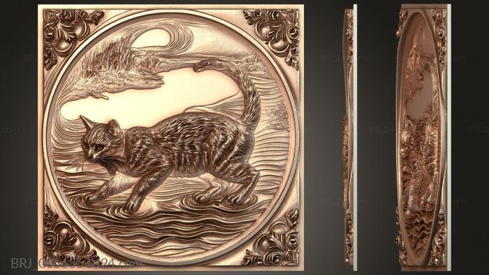 Кошка плывёт через водоём
