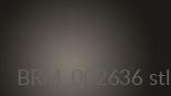 BRM_002636