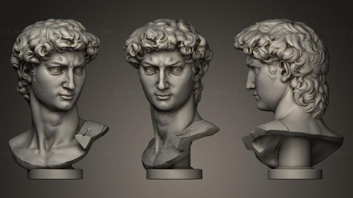 Бюсты и головы античные и исторические (Микеланджело Давид, BUSTA_0095) 3D модель для ЧПУ станка