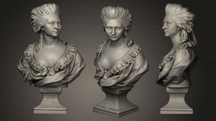Бюсты и головы античные и исторические (Anglique dHannetaire Восстановлен, BUSTA_0193) 3D модель для ЧПУ станка