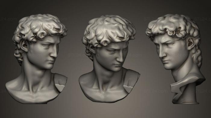 Busts and heads antique and historical (David Head Version Two, BUSTA_0268) 3D models for cnc