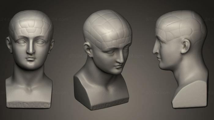 Busts and heads antique and historical (Phrenological bust, BUSTA_0298) 3D models for cnc