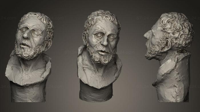 Busts and heads antique and historical (Studio busto allieva liceo artistico, BUSTA_0311) 3D models for cnc
