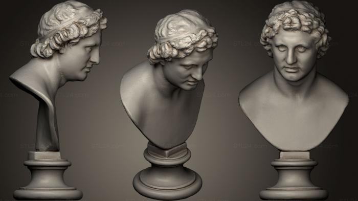 Busts and heads antique and historical (Busto de prncipe helenstico, BUSTA_0351) 3D models for cnc